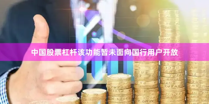 中国股票杠杆该功能暂未面向国行用户开放
